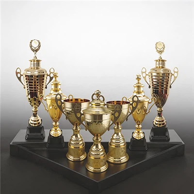 Metal Cup Champion Trophy