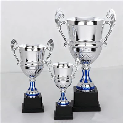 Silver Metal Champion Cup Trophy